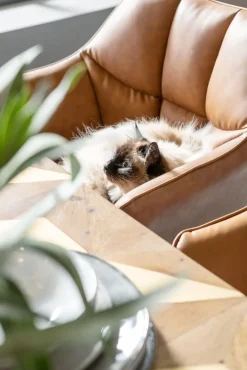 KARE Armlehnstuhl Thinktank Braun