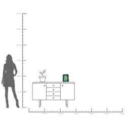 KARE Bilderrahmen Ginkgo Leaf Grün 20x24cm