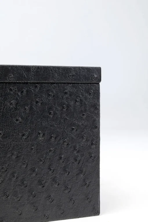 KARE Box Crocodile Schwarz (2/Set)