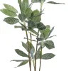 KARE Deko Pflanze Calathea 140cm