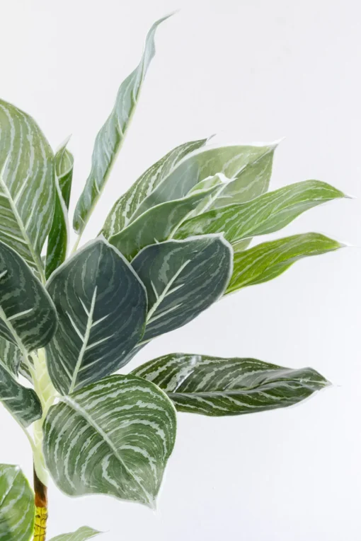 KARE Deko Pflanze Calathea 140cm