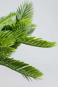 KARE Deko Pflanze Cycas 70cm