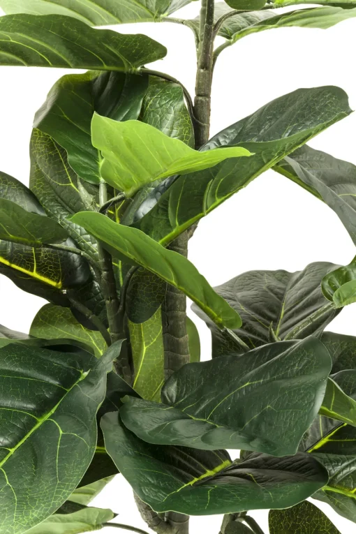 KARE Deko Pflanze Fiddle Leaf 120cm