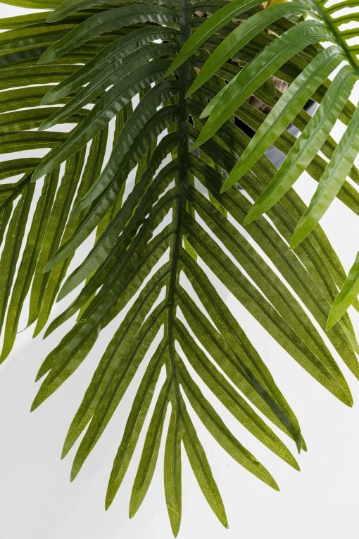 KARE Deko Pflanze Palm Tree 190cm