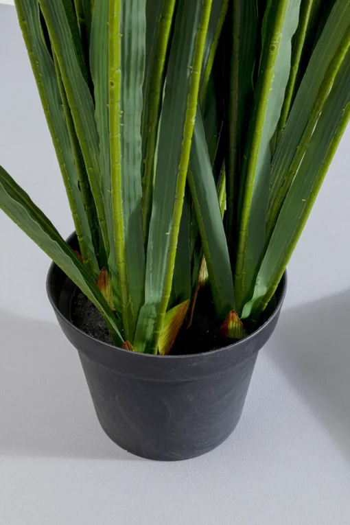 KARE Deko Pflanze Rhynchostylis 150cm