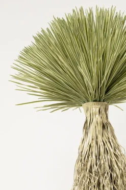 KARE Deko Pflanze Yucca Rostrata 240cm