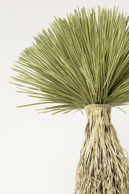 KARE Deko Pflanze Yucca Rostrata 240cm