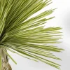KARE Deko Pflanze Yucca Rostrata 180cm
