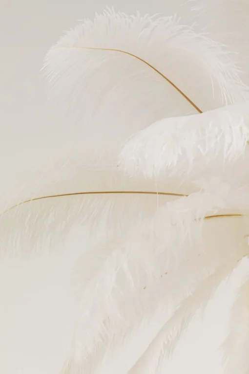 KARE Hängeleuchte Feather Palm Weiß Ø87cm