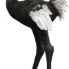 KARE Stehleuchte Animal Ostrich 147cm