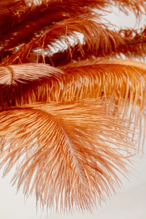 KARE Stehleuchte Feather Palm Braun 165cm