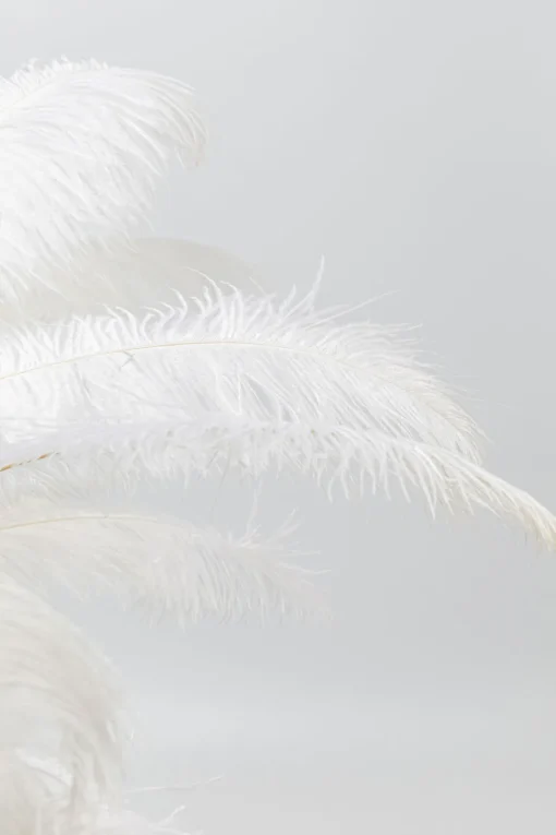 KARE Tischleuchte Feather Palm Weiß 60cm