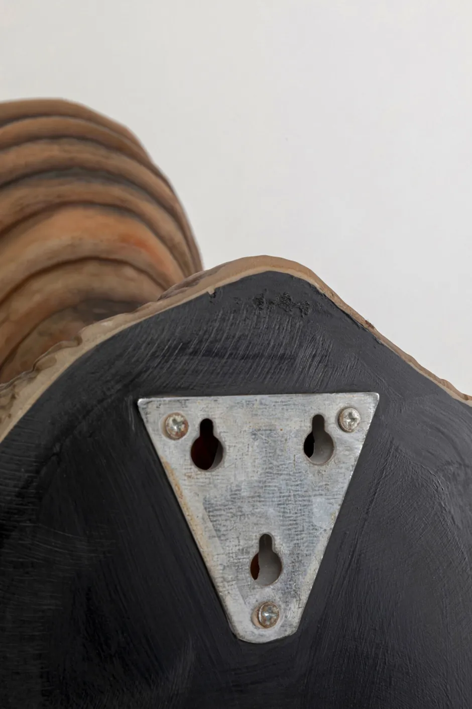 KARE Wandleuchte Animal Dino 36cm